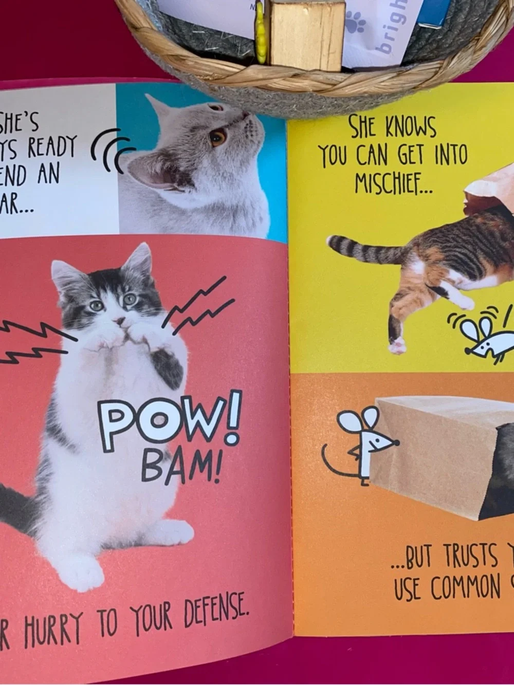 6 PC Cat Mom Gift Basket